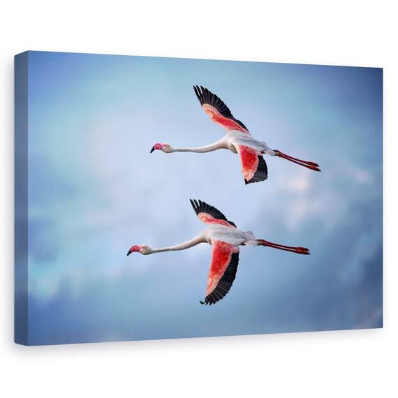 Tablou Canvas - Flamingo Mai Mari, Marime: 80 x 120 cm - - Roveli