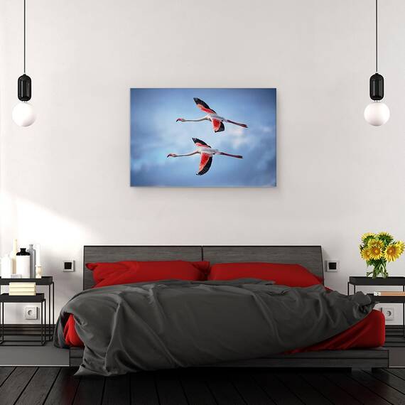 Tablou Canvas - Flamingo Mai Mari, Marime: 80 x 120 cm - 3- Roveli