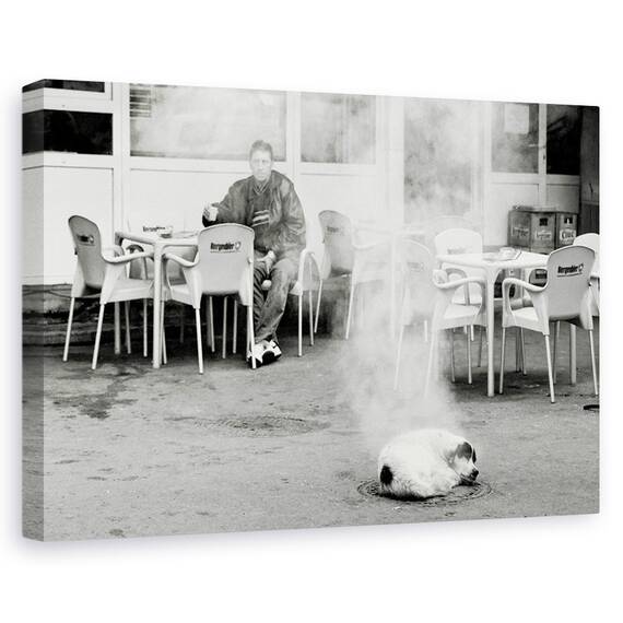 Tablou Canvas - Hot Dog, Marime: 80 x 120 cm - - Roveli