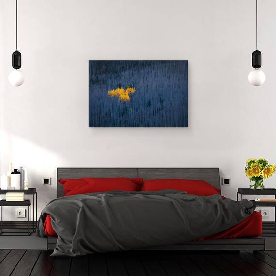 Tablou Canvas - Inima De Aspens, Marime: 80 x 120 cm - 3- Roveli
