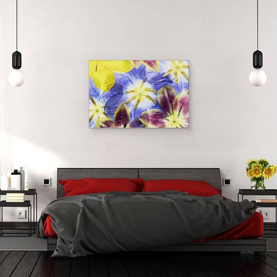 Tablou Canvas - Lalele, Marime: 80 x 120 cm - 3- Roveli