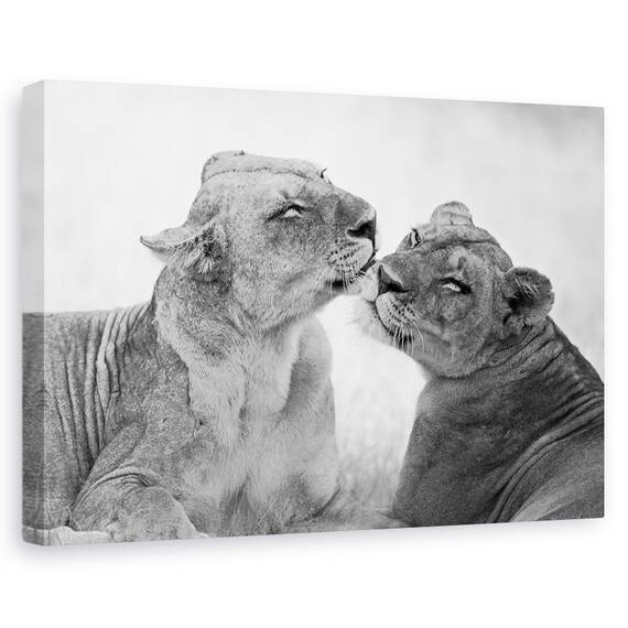 Tablou Canvas - Lei In Alb-Negru, Marime: 80 x 120 cm - - Roveli