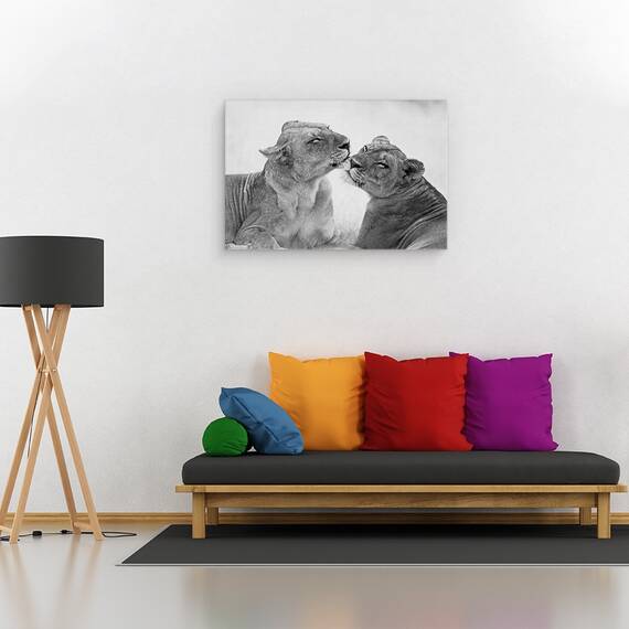 Tablou Canvas - Lei In Alb-Negru, Marime: 80 x 120 cm - 2- Roveli
