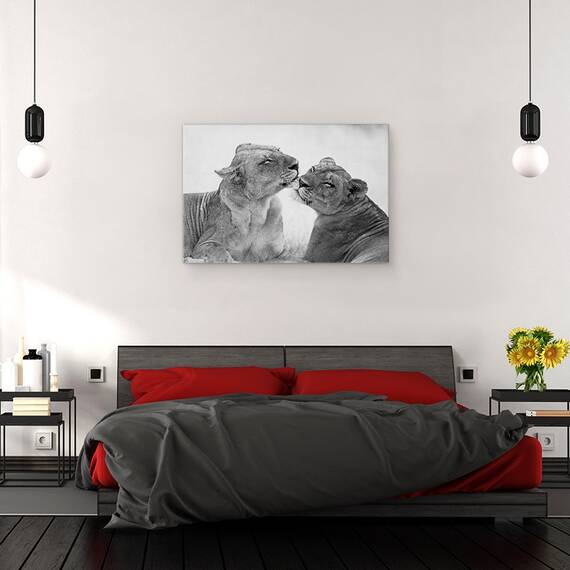 Tablou Canvas - Lei In Alb-Negru, Marime: 80 x 120 cm - 3- Roveli