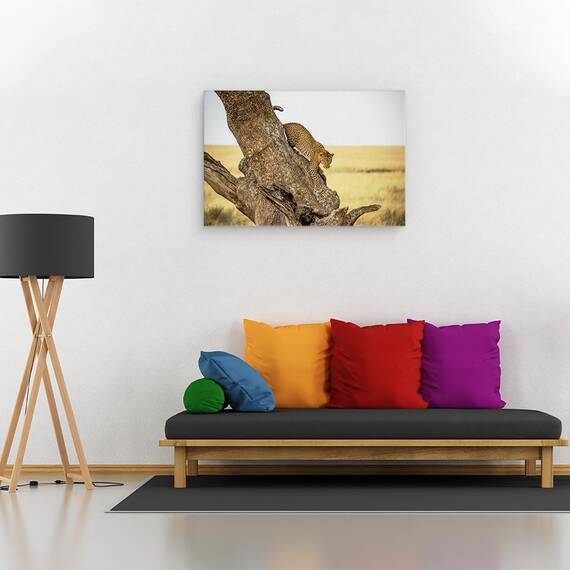 Tablou Canvas - Leopard - Serengheti, Tanzania, Marime: 80 x 120 cm - 2- Roveli