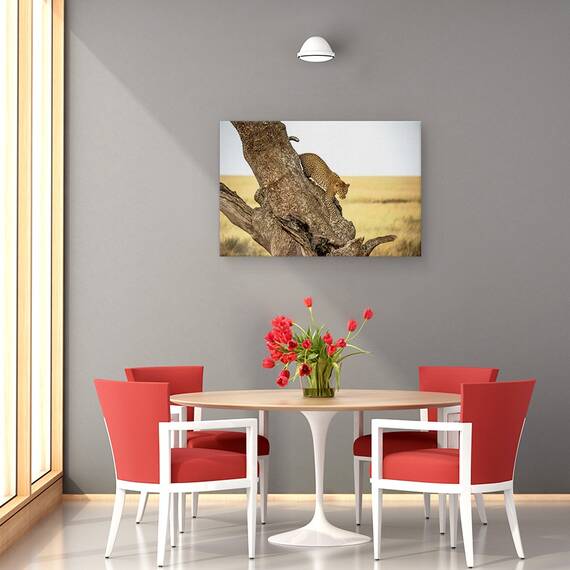 Tablou Canvas - Leopard - Serengheti, Tanzania, Marime: 80 x 120 cm - 4- Roveli