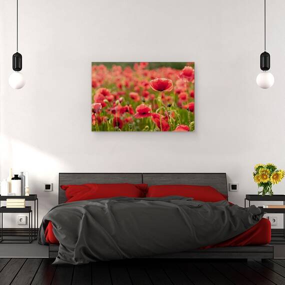 Tablou Canvas - Lumina Din Spate, Marime: 80 x 120 cm - 3- Roveli