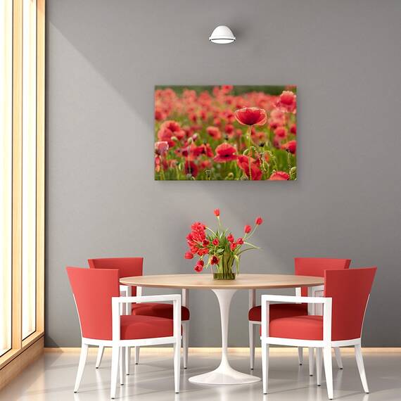 Tablou Canvas - Lumina Din Spate, Marime: 80 x 120 cm - 4- Roveli