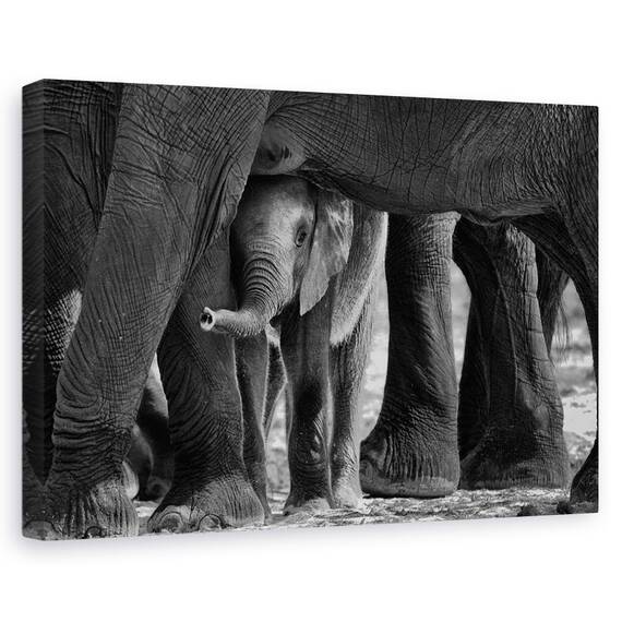 Tablou Canvas - Mici Printre Mari, Marime: 80 x 120 cm - - Roveli