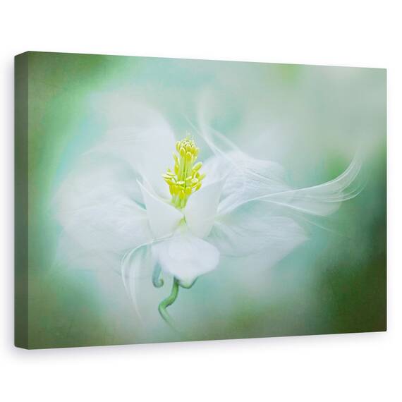 Tablou Canvas - Mistic, Marime: 80 x 120 cm - - Roveli