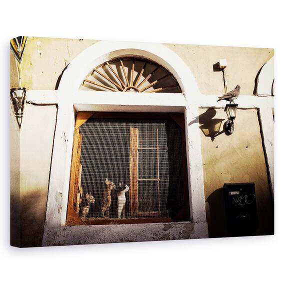 Tablou Canvas - O Dorinta Vesela, Marime: 80 x 120 cm - - Roveli
