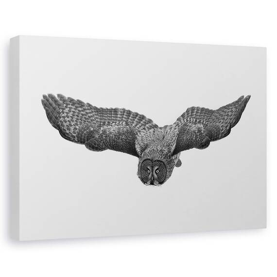 Tablou Canvas - O Fantoma Nordica, Marime: 80 x 120 cm - - Roveli