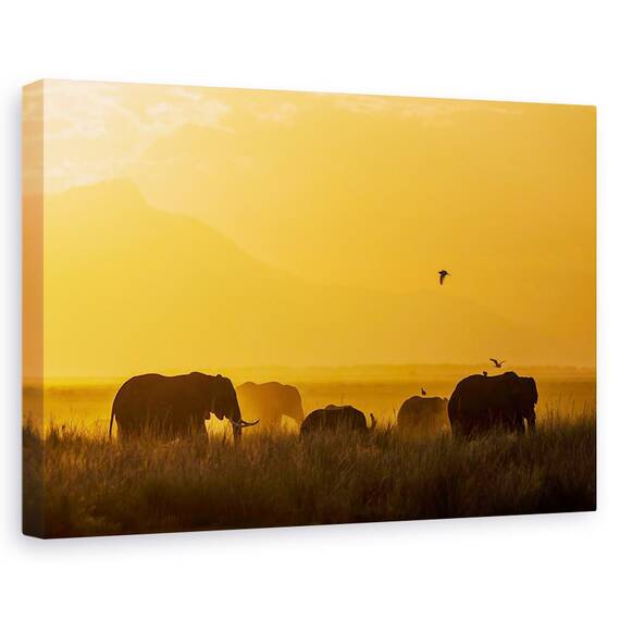 Tablou Canvas - Pace, Marime: 80 x 120 cm - - Roveli