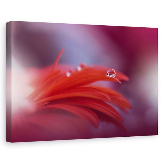 Tablou Canvas - Pasiunea Rosie, Marime: 80 x 120 cm - - Roveli