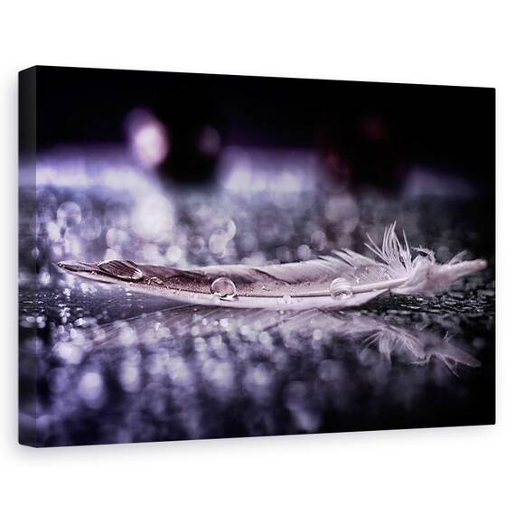 Tablou Canvas - Pene Si Picatura ii, Marime: 80 x 120 cm - - Roveli