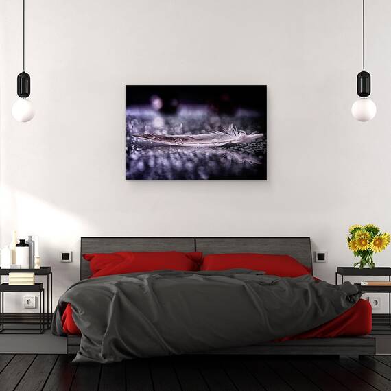 Tablou Canvas - Pene Si Picatura ii, Marime: 80 x 120 cm - 3- Roveli