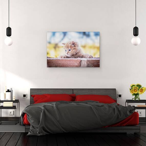 Tablou Canvas - Pisica, Marime: 80 x 120 cm - 3- Roveli
