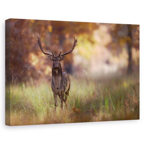 Tablou Canvas - Pozand, Marime: 80 x 120 cm - - Roveli