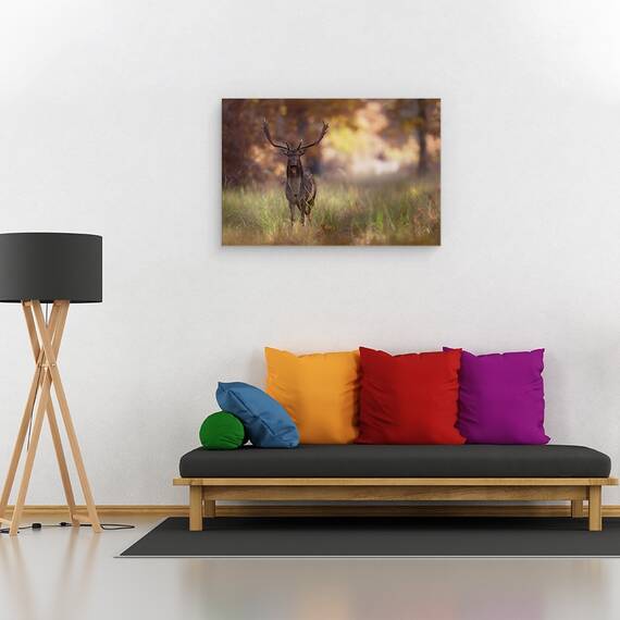 Tablou Canvas - Pozand, Marime: 80 x 120 cm - 4- Roveli