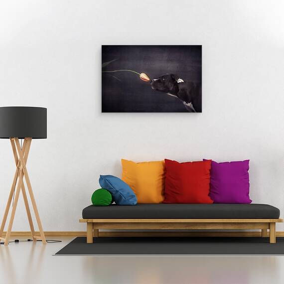 Tablou Canvas - Prima Abordare, Marime: 80 x 120 cm - 2- Roveli