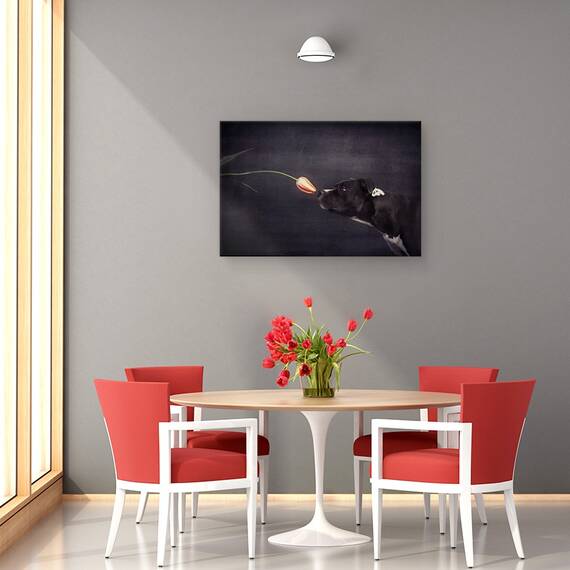 Tablou Canvas - Prima Abordare, Marime: 80 x 120 cm - 4- Roveli