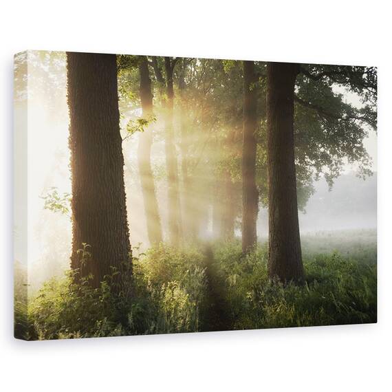 Tablou Canvas - Prima Zi De Vara, Marime: 80 x 120 cm - - Roveli
