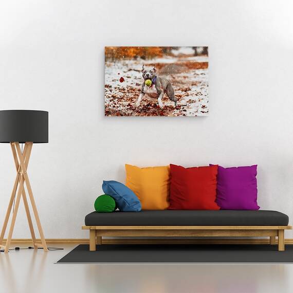 Tablou Canvas - Prinde Mingea, Marime: 80 x 120 cm - 2- Roveli