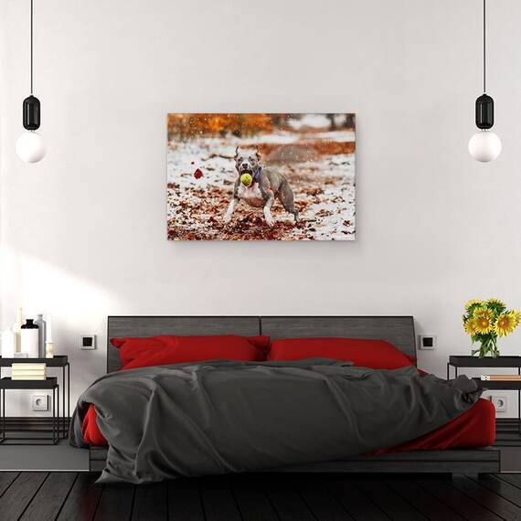 Tablou Canvas - Prinde Mingea, Marime: 80 x 120 cm - 3- Roveli