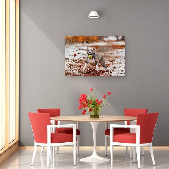 Tablou Canvas - Prinde Mingea, Marime: 80 x 120 cm - 4- Roveli