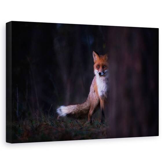 Tablou Canvas - Priviri, Marime: 80 x 120 cm - - Roveli