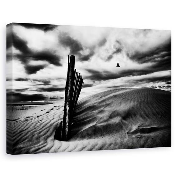 Tablou Canvas - Strigatul Pescarusului, Marime: 80 x 120 cm - - Roveli