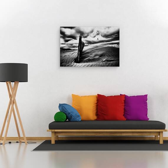 Tablou Canvas - Strigatul Pescarusului, Marime: 80 x 120 cm - 2- Roveli