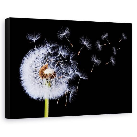 Tablou Canvas - Sufland In Papadie, Marime: 80 x 120 cm - - Roveli