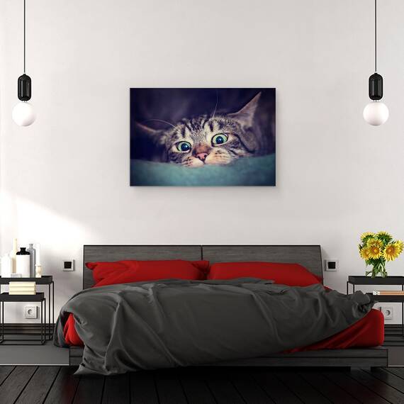 Tablou Canvas - Vanator, Marime: 80 x 120 cm - 3- Roveli