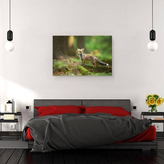 Tablou Canvas - Vulpe Rosie, Marime: 80 x 120 cm - 3- Roveli