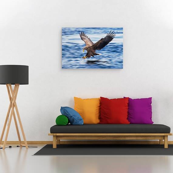 Tablou Canvas - Vultur Cu Coada Alba, Marime: 80 x 120 cm - 2- Roveli