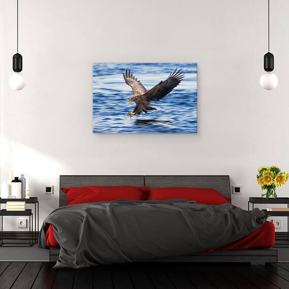 Tablou Canvas - Vultur Cu Coada Alba, Marime: 80 x 120 cm - 3- Roveli