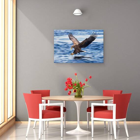 Tablou Canvas - Vultur Cu Coada Alba, Marime: 80 x 120 cm - 4- Roveli