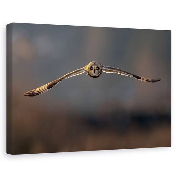 Tablou Canvas - Zbor Spre Mine, Marime: 80 x 120 cm - - Roveli