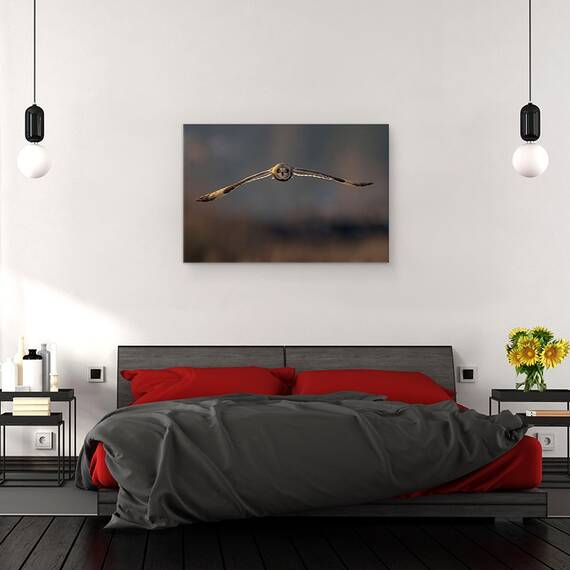 Tablou Canvas - Zbor Spre Mine, Marime: 80 x 120 cm - 3- Roveli