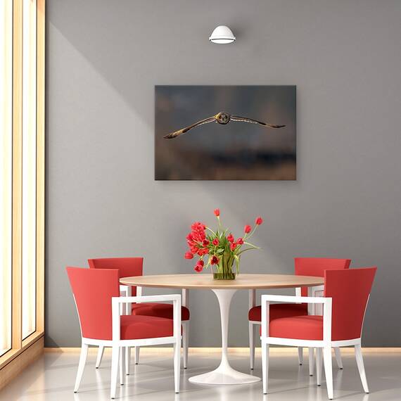 Tablou Canvas - Zbor Spre Mine, Marime: 80 x 120 cm - 4- Roveli