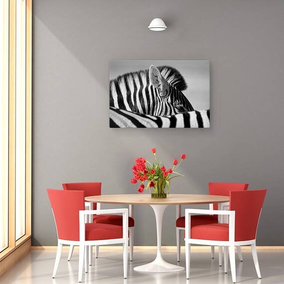 Tablou Canvas - Zebra Curioasa, Marime: 80 x 120 cm - 4- Roveli