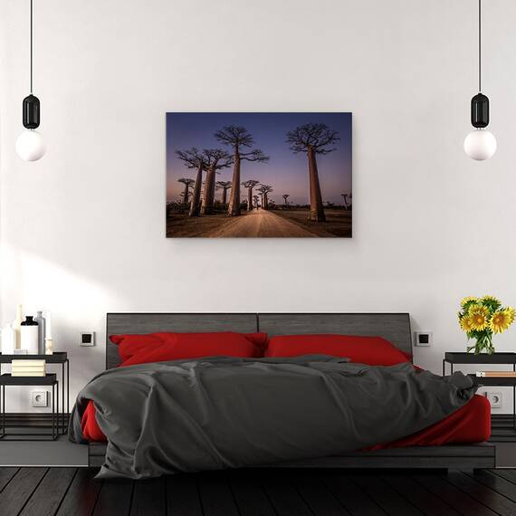Tablou Canvas - Aleea Cu Baobabi, Marime: 80 x 120 cm - 3- Roveli