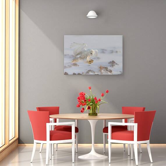 Tablou Canvas - Aterizare, Marime: 80 x 120 cm - 4- Roveli
