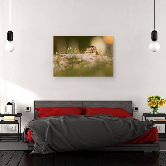 Tablou Canvas - Bufnita De Vizuina, Marime: 80 x 120 cm - 3- Roveli
