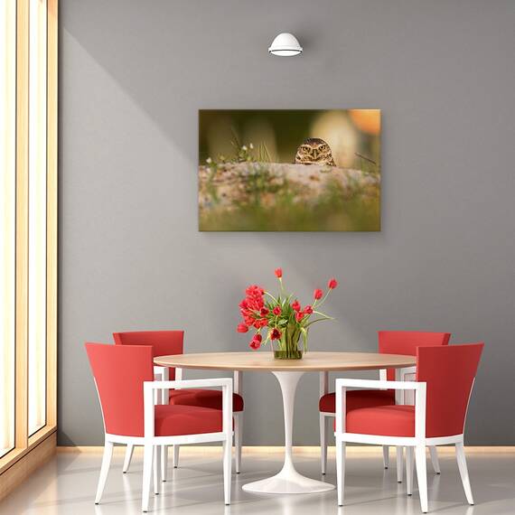 Tablou Canvas - Bufnita De Vizuina, Marime: 80 x 120 cm - 4- Roveli