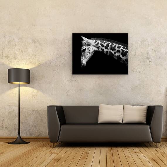Tablou Canvas - Calf, Girafa, Marime: 60 x 80 cm - 4- Roveli