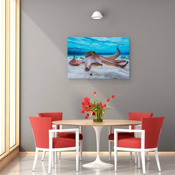 Tablou Canvas - Caracatita, Marime: 80 x 120 cm - 4- Roveli