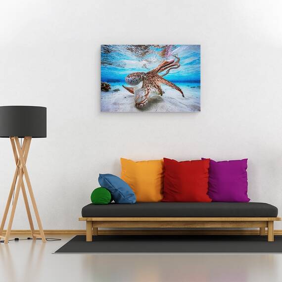 Tablou Canvas - Caracatita Dansatoare, Marime: 80 x 120 cm - 2- Roveli