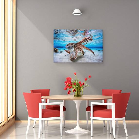 Tablou Canvas - Caracatita Dansatoare, Marime: 80 x 120 cm - 4- Roveli